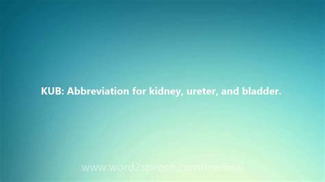 KUB Definition & Meaning .